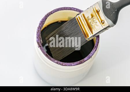 A close-up photograph shows a paint brush with a black handle and metal ferrule immersed in an open can of lacquer. Stock Photo