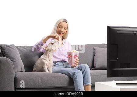 Woman sitting on a sofa in front of tv and giving popcorn to a westie terrier dog isolated on white background Stock Photo