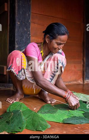 Portrait of a women making leaf plates to be sold at the market, Odisha, India Stock Photo