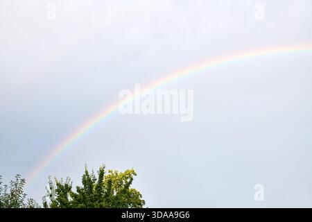Vivid rainbow stretches across pale blue sky with scattered clouds above lush green tree tops. Gentle daylight illuminates serene natural scene from w Stock Photo