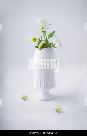 Bunch of white chrysanthemum flowers growing from egg shell Stock Photo