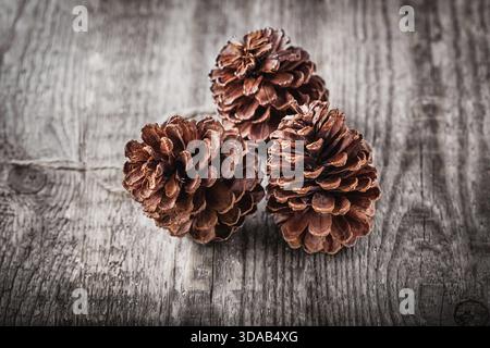 Natural wooden background with three pine cones Stock Photo