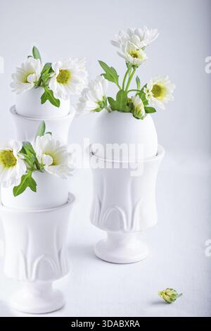 Bunch of white chrysanthemum flowers growing from egg shell Stock Photo