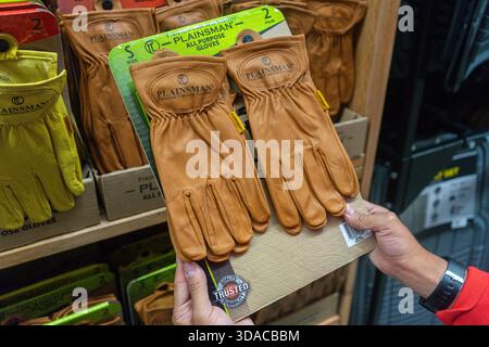 Male shopper holds a pair of Plainsman all purpose work gloves while shopping inside a Sam's Club Stock Photo