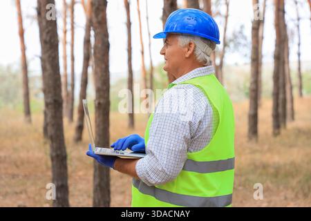 Senior forester using laptop in forest Stock Photo