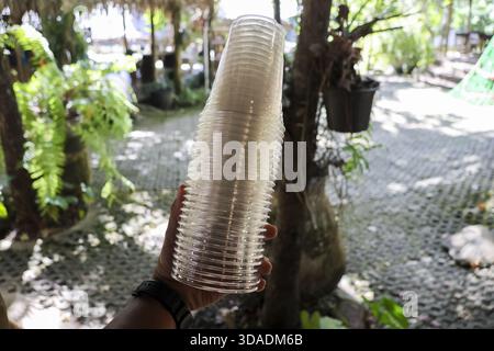 Close up of hand holding stack of clear plastic disposable cups outdoors. Preparation in garden for casual party or gathering, beverage container for Stock Photo