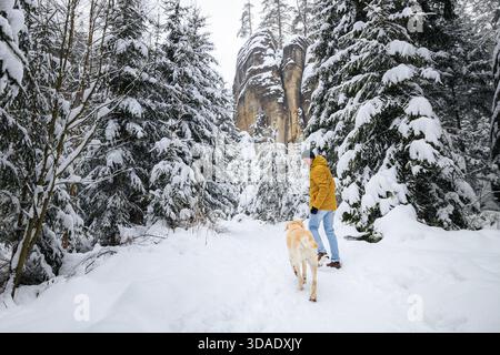 Man walking with dog on snowy footpath in snowy forest. Pet owner and labrador retriever enjoy idyllic winter day together. Stock Photo