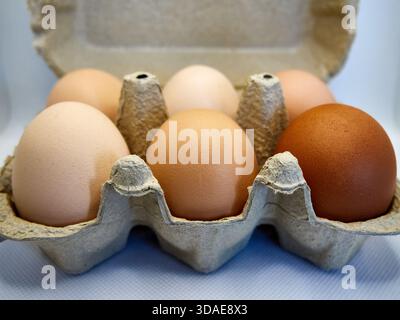 Half dozen fresh brown eggs in recycled cardboard carton Stock Photo