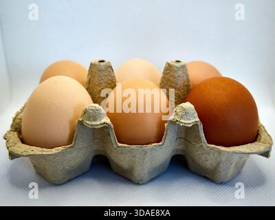 Half dozen fresh brown eggs in recycled cardboard carton Stock Photo
