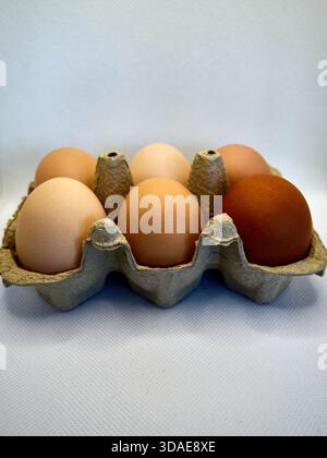 Half dozen fresh brown eggs in recycled cardboard carton Stock Photo