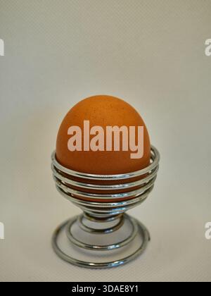 Single brown chicken egg in spiral metal wire egg cup on white background Stock Photo