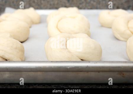 Bread bun knots on baking sheet rising. Raw dough knots. Multiple yeast breads in rows waiting to be baked. Traditional Swiss bread recipe called Zopf Stock Photo