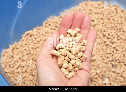 Wood pellets cat litter in hand of woman. Natural and eco-friendly alternative to clay litter. Used as bio or fuel pellets for heating. Pressed pine o Stock Photo
