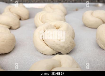 Yeast bread bun on baking sheet resting. Raw dough knots. Multiple yeast breads in rows waiting to be baked. Traditional Swiss bread recipe called Zop Stock Photo