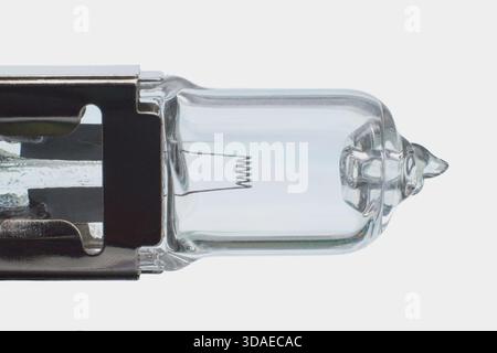 Halogen bulb close up on white background Stock Photo