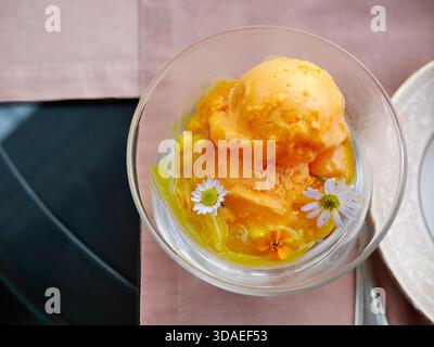 Refreshing mango or passion fruit sorbet served in a double-layered glass bowl. The bright yellow frozen dessert is beautifully garnished with small w Stock Photo