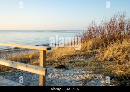 Golden beach grass and red winter shrubs frame the calm Baltic Sea under a pale blue sky. A serene coastal landscape in winter light, quiet and wind-s Stock Photo