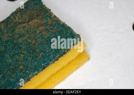 close up detail of a green and yellow kitchen sponge scourer pad isolated on a white background Stock Photo