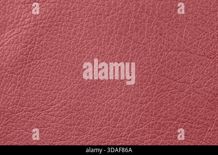 Grainy leather texture in trendy Dusty Rose color with detailed natural creases and soft sheen. Natural background for fashion design, product mockups Stock Photo
