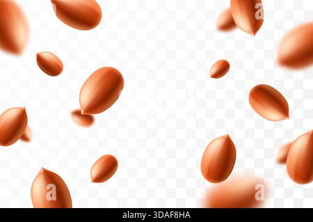 Falling peanuts, isolated on transparent background, selective focus. Flying peanut with blurry effect. Can be used for advertising, packaging, banner Stock Vector