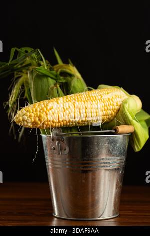 fresh corn cob with husk on black background. Stock Photo