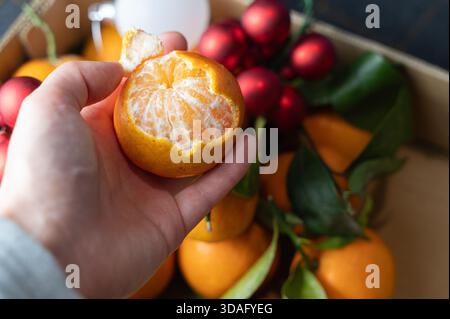 Hand peeling tangerine revealing juicy segments, candid indoor moment of someone preparing snack with scattered leaves and red ornaments in background Stock Photo