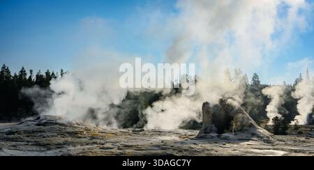 Steam rises across a wide geothermal field in Yellowstone, drifting over colorful mineral flats beneath a soft sky. Stock Photo