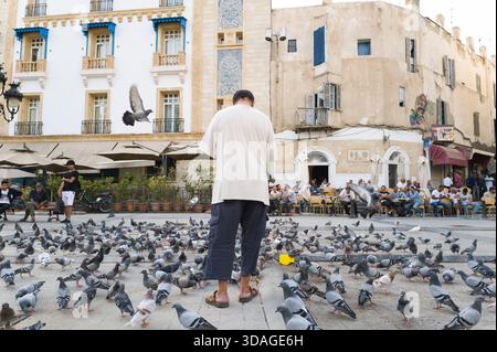 A man feeds bread to a pigeon in the Place de la Victoire, Tunis. Illustration of the city of Tunis. Tunisia, Tunis on September 21, 2023. Photograph Stock Photo