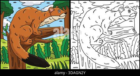Forest Animal Stoat Coloring Page Illustration  Stock Vector