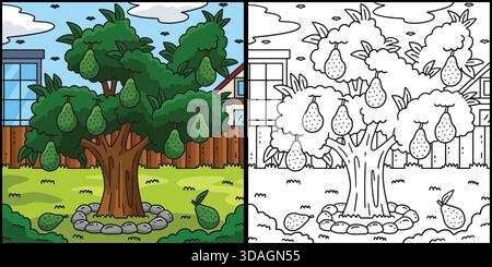 Avocado Tree Fruit Plant Coloring Illustration  Stock Vector