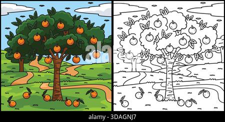 Orange Fruit Coloring Page Colored Illustration Stock Vector Image ...