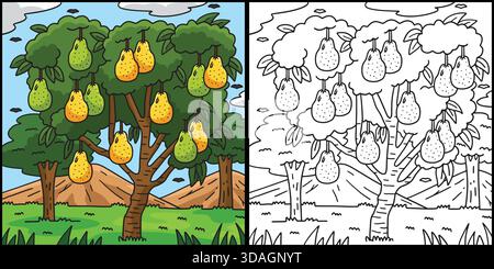 Pear Tree Fruit Plant Coloring Page Illustration  Stock Vector