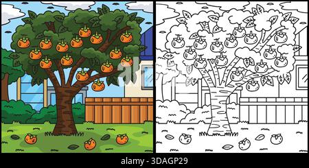 Persimmon Tree Fruit Plant Coloring Illustration  Stock Vector