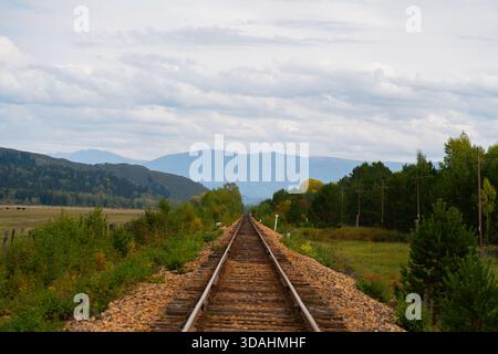 A straight line of railway tracks centered in a wide landscape leading toward blue mountains and the horizon, surrounded by green fields and autumn tr Stock Photo