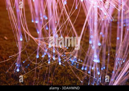 Magical abstract background of glowing fiber optic light strands. vibrant pink and blue colors create futuristic and ethereal concept of data and conn Stock Photo