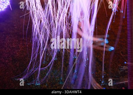 Glowing purple fiber optic light strands create mesmerizing abstract background. futuristic energy and magical motion blur effect make vibrant and dyn Stock Photo