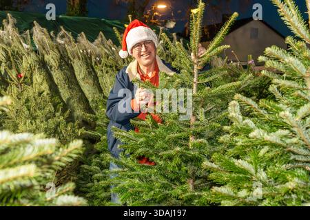 Kunde mit Nikolausmütze beim Christbaumkauf, Christbaumhandel am Posener Platz, München, Dezember 2025 Deutschland, München, Dezember 2025, Kunde mit Nikolausmütze beim Aussuchen eines Christbaums, Christbaumverkauf bei Claudia s Christbaumhandel am Posener Platz in Bogenhausen, Nordmanntanne, Weihnachtswald, Adventszeit, Weihnachtszeit, weihnachtlich, Winter, Temperaturen um die 9 Grad, mildes Winterwetter, bayerisch, Bayern, *** Customer with Santa hat buying a Christmas tree, Christmas tree shop at Posener Platz, Munich, December 2025 Germany, Munich, December 2025, Customer with Santa hat Stock Photo