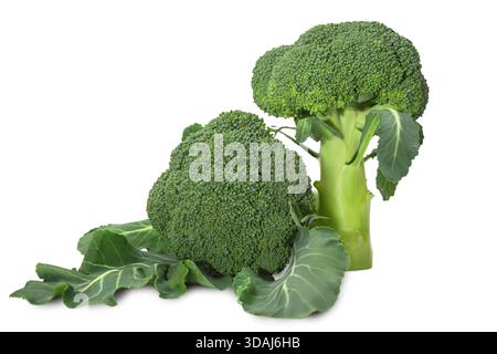 Two heads of fresh broccoli with green leaves resting on a white surface highlighting their freshness and health benefits for cooking. Stock Photo