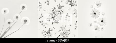 Presentation of a trending color 2026 - Cloud Dancer in the form of a collage of different shapes and textures. Various types flowers of cosmea, cherry blossoms, daffodils, lilacs. Color concept Stock Photo