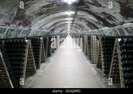 Long tunnel in a wine cellar with rows of aging bottle on racks. Traditional champagne production and storage in an underground cave. Stock Photo
