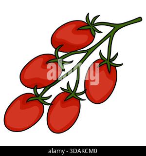 Vibrant red cherry tomatoes on a green vine, a simple vector illustration with bold outlines and smooth shading. Stock Vector