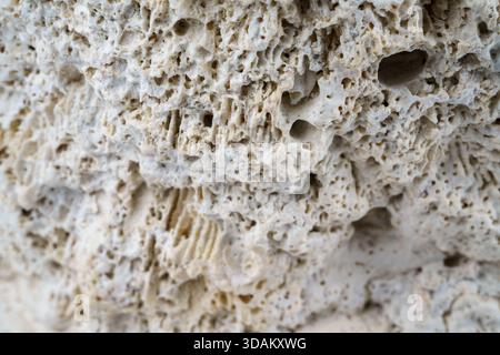 Close-up of porous limestone rock showing irregular holes and rugged texture. Stock Photo