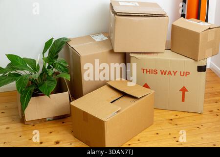 A stack of cardboard boxes on a wooden floor in a house Stock Photo