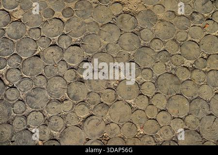 Close-Up Rustic Wood Slice Flooring with Tree Rings Pattern Stock Photo