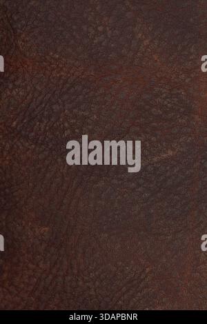Dark brown leather texture with natural grain Stock Photo