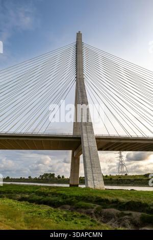 Flintshire bridge cable-stayed concrete pylon and deck viewed from below above the estuary Stock Photo