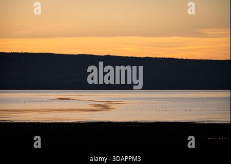 Abstract sunset silhouette of the Haida Gwaii coastline at Sandspit, featuring golden water reflections and an S-curved ripple between dark landforms. Stock Photo