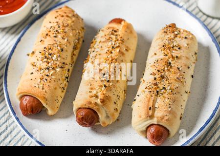 Homemade Bagel Hot Dog with Ketchup and Mustard Stock Photo