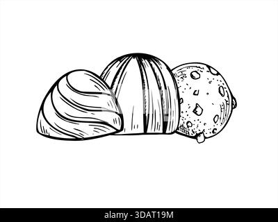 Three glazed chocolate candies with fillings inside vector isolated line art black ink composition. Monochrome hand drawn sweets illustration. Stock Vector