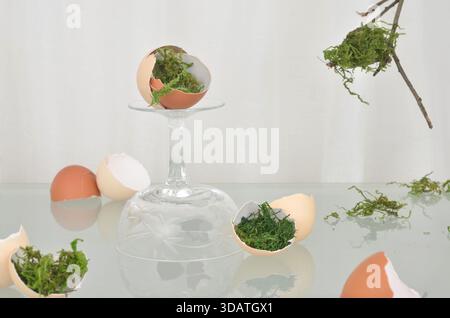 Abstract decoration with egg shells and moss for Easter. Stock Photo